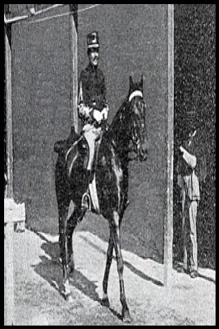 Famous People with surname Haegeman