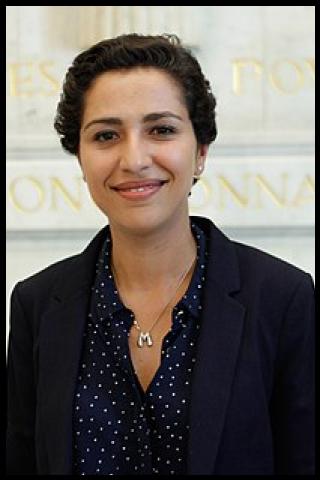 Famous People with surname Hairy