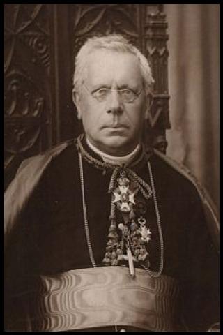 Famous People with surname Heylen