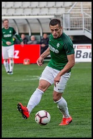 Famous People with surname Hole&scaron;