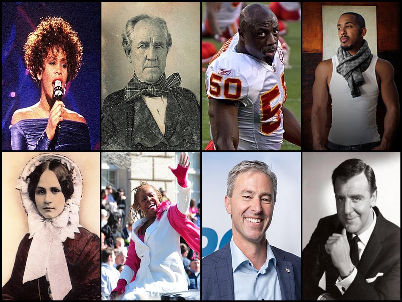 Famous People with surname Houston