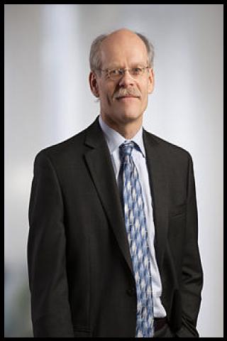 Famous People with surname Ingves