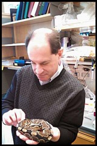 Famous People with surname Julius