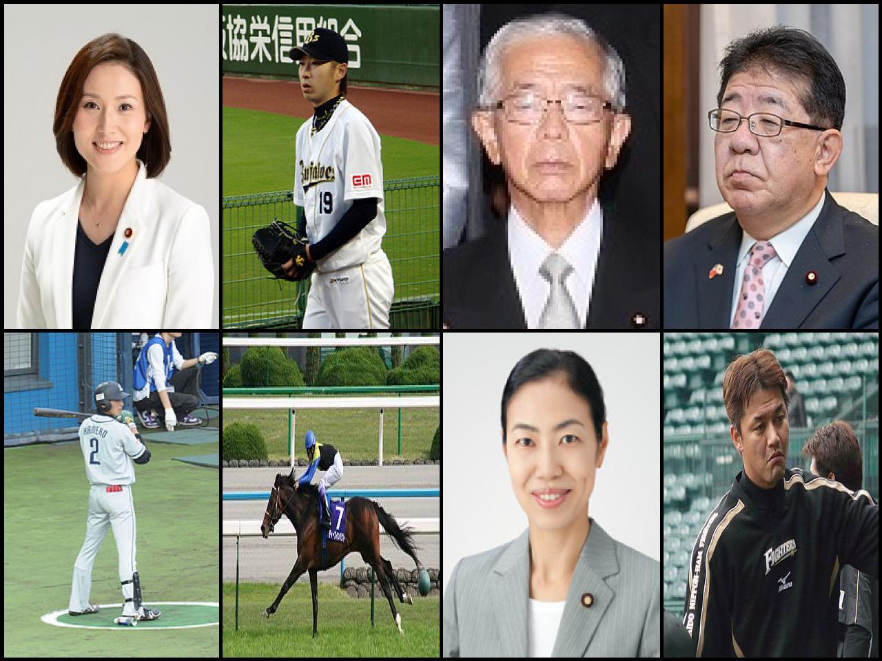 Famous People with surname Kaneko