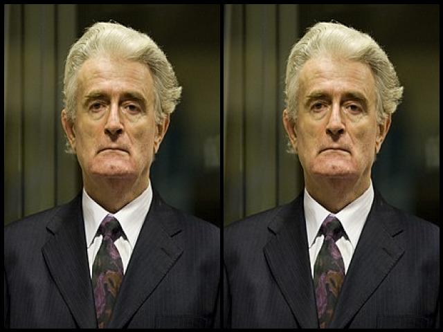 Famous People with surname Karadžić