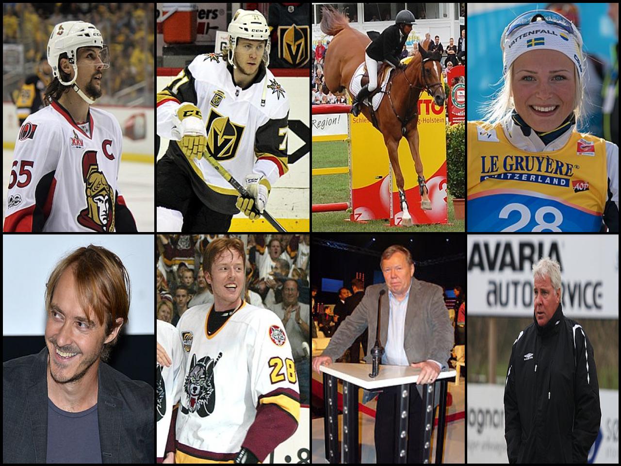 Famous People with surname Karlsson