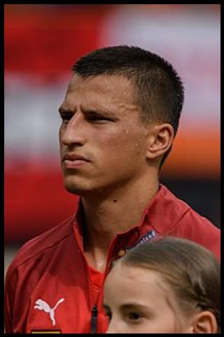 Famous People with surname Lainer