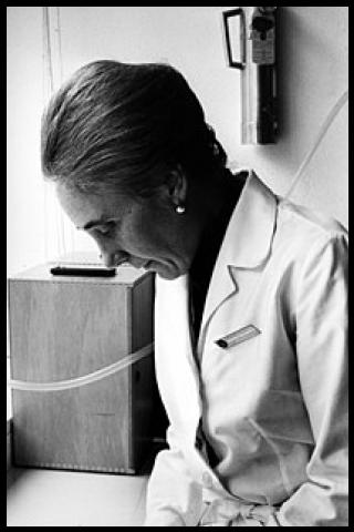 Famous People with surname Landazuri