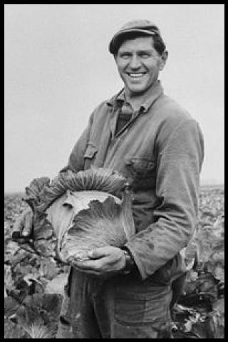 Famous People with surname Langedijk