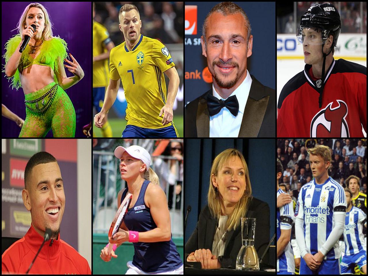 Famous People with surname Larsson