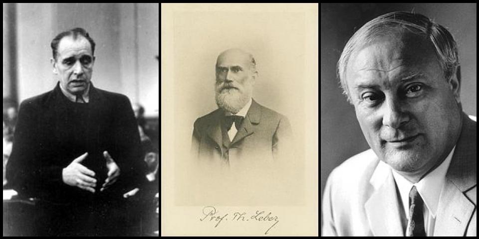 Famous People with surname Leber