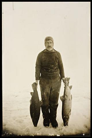 Famous People with surname Lindstr&oslash;m