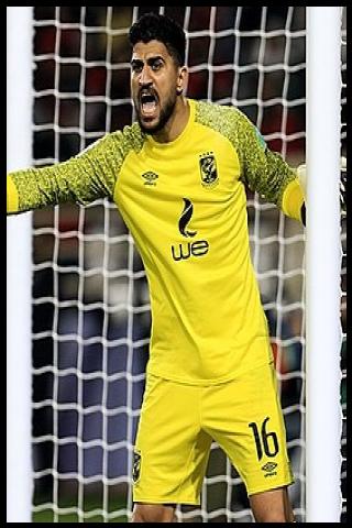 Famous People with surname Lotfi