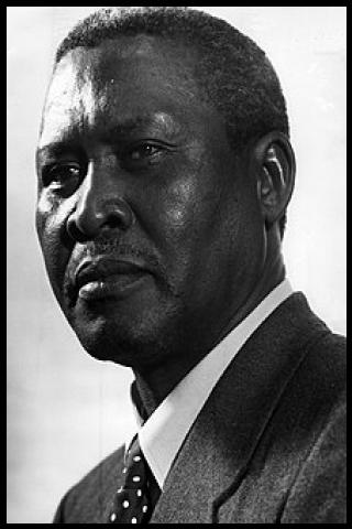 Famous People with surname Luthuli