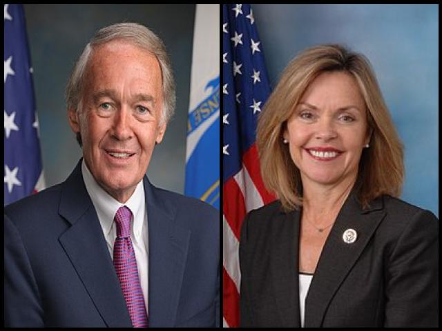 Famous People with surname Markey