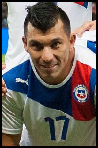 Famous People with surname Medel