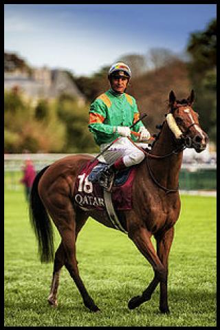 Famous People with surname Mosse