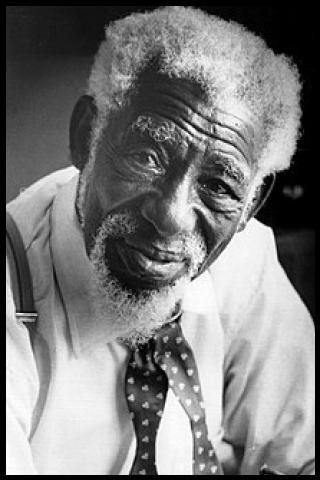 Famous People with surname Muse