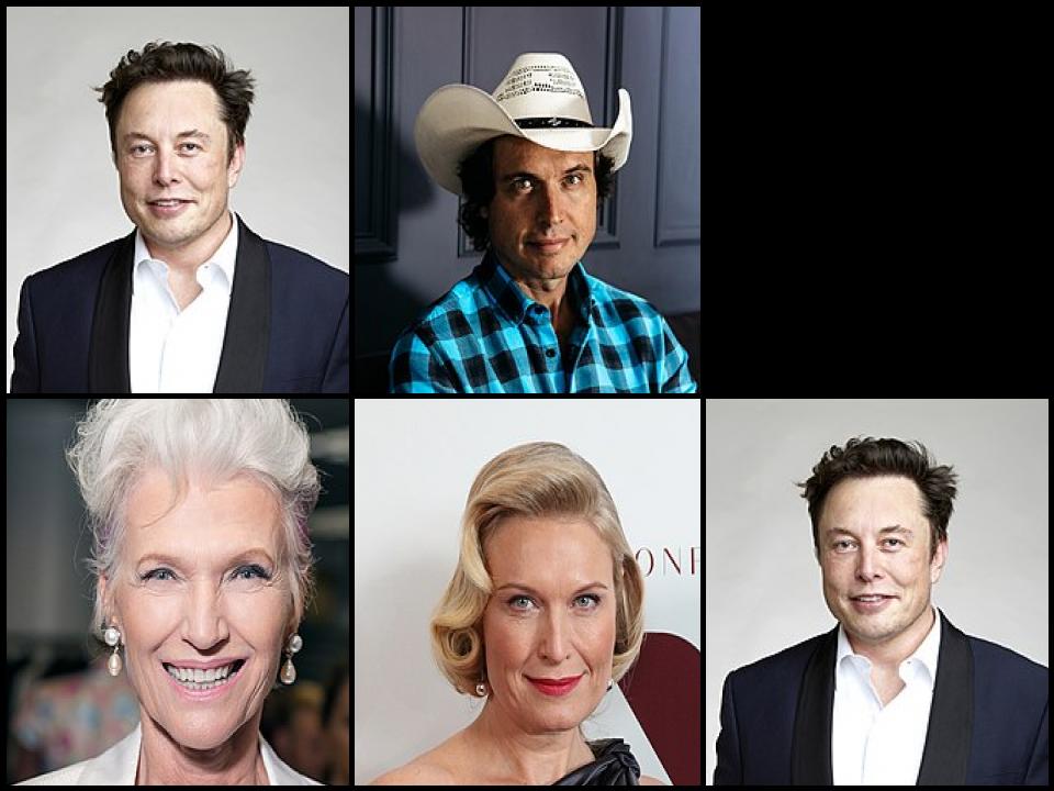 Famous People with surname Musk