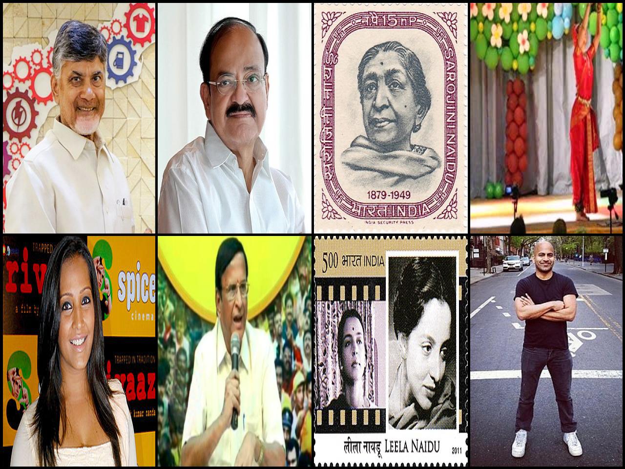 Famous People with surname Naidu
