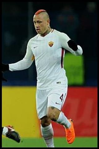 Famous People with surname Nainggolan