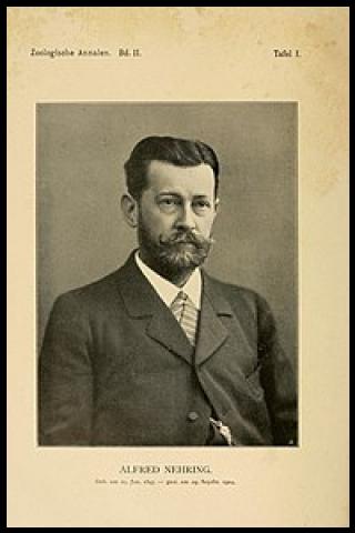 Famous People with surname Nehring