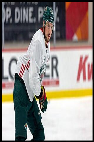 Famous People with surname Niederreiter