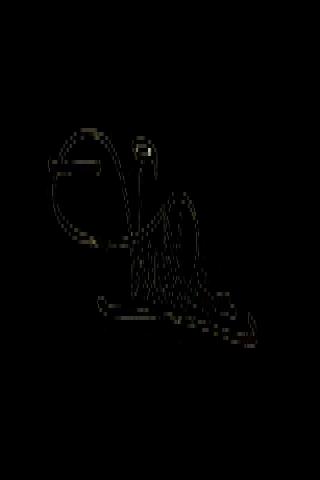 Famous People with surname Oğuzcan