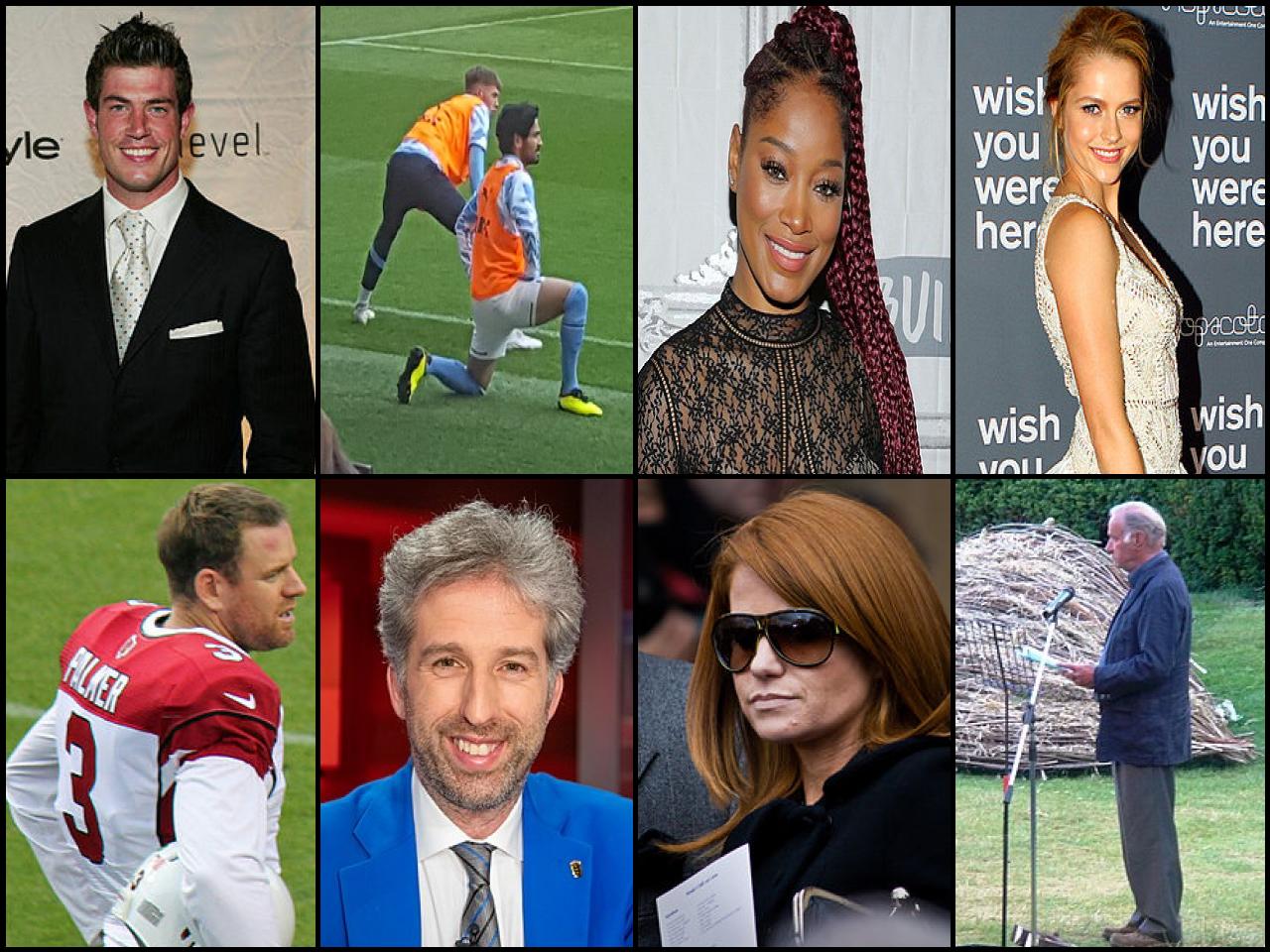 Famous People with surname Palmér