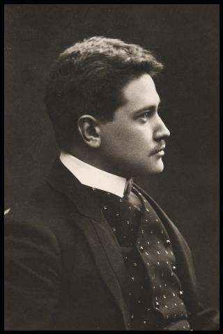 Famous People with surname Palmgren