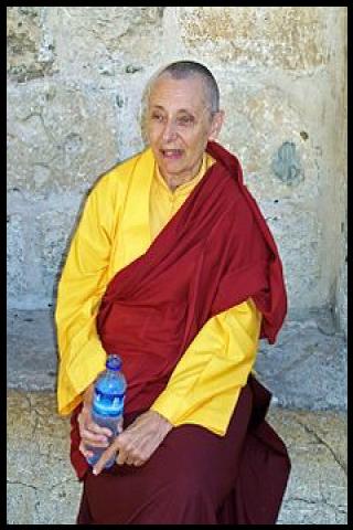 Famous People with surname Palmo