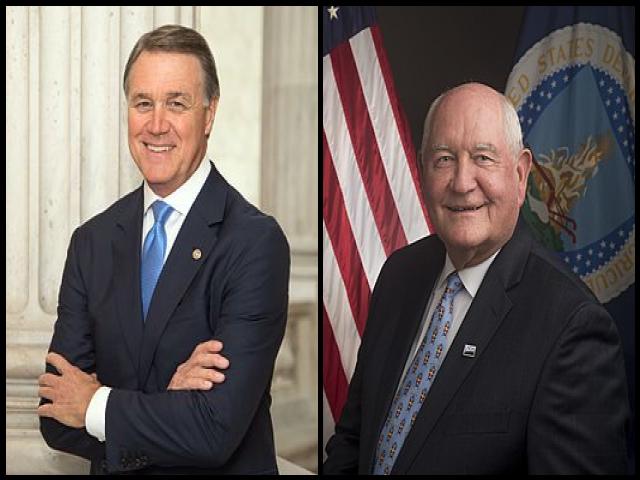 Famous People with surname Perdue