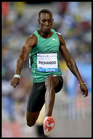 Famous People with surname Pichardo