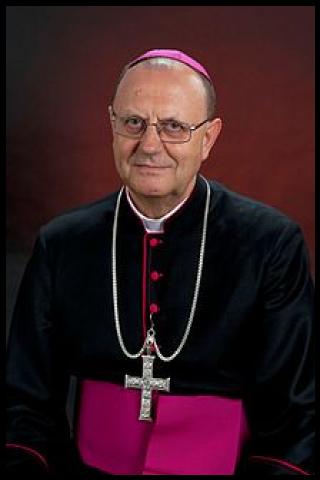 Famous People with surname Pikus