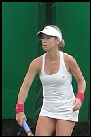 Famous People with surname Pin