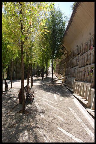 Famous People with surname Pinos