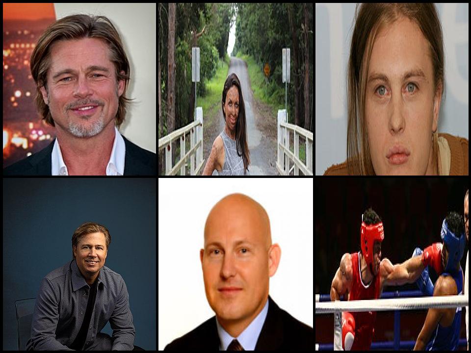 Famous People with surname Pitt