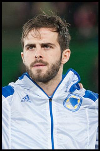 Famous People with surname Pjanić