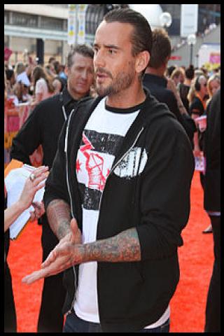 Famous People with surname Punk