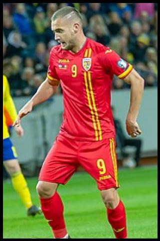 Famous People with surname Puscas