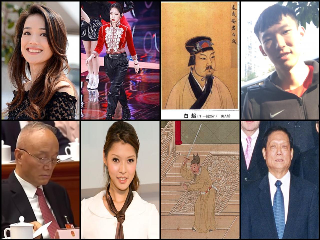 Famous People with surname Qi