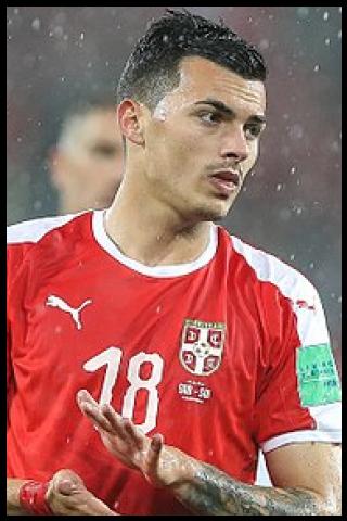 Famous People with surname Radonjić