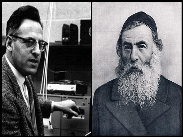 Famous People with surname Reines