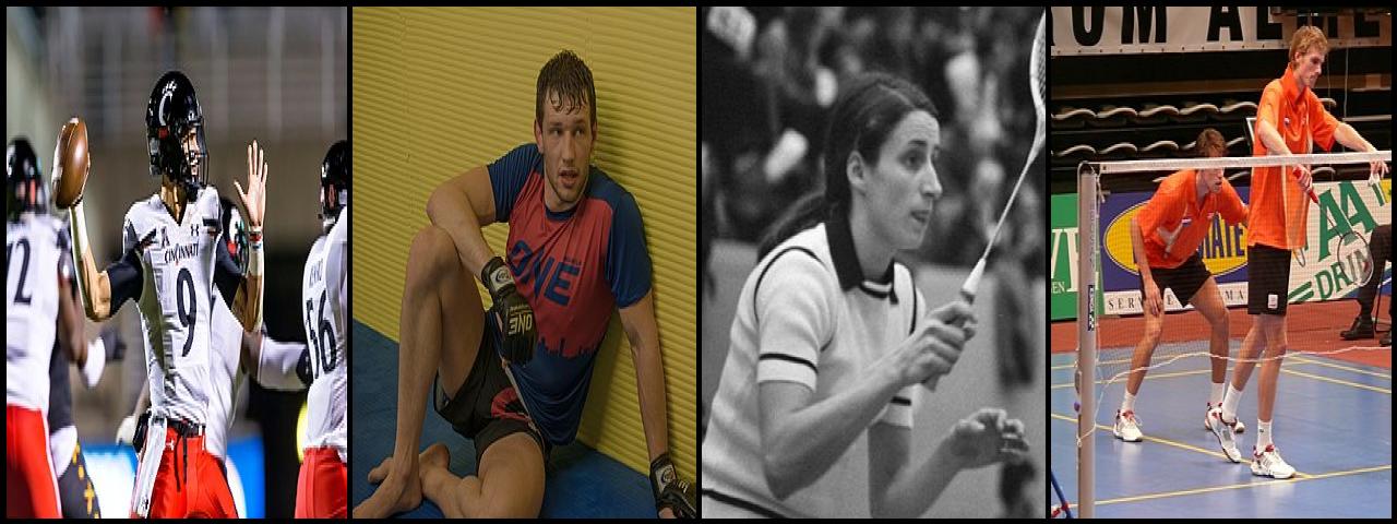 Famous People with surname Ridder