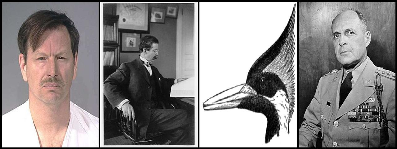 Famous People with surname Ridgway