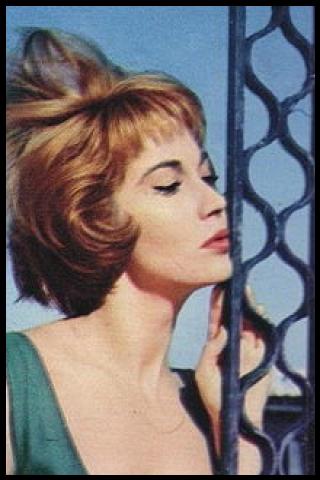 Famous People with surname Rivelli