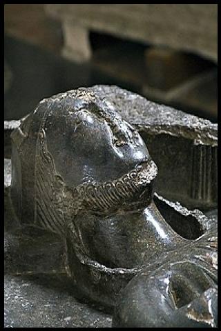 Famous People with surname Roches