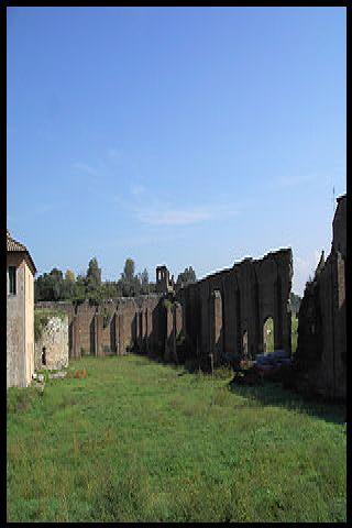 Famous People with surname Romulus