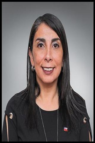 Famous People with surname Rubilar