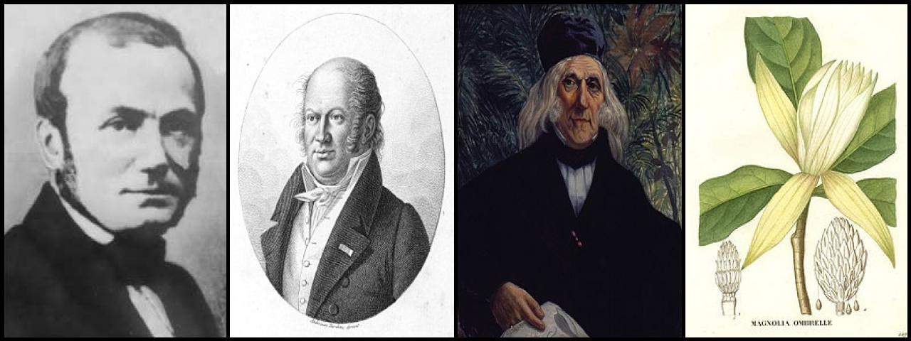 Famous People with surname Saint-hilaire